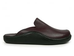 Westland 4230.41.001