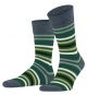 Falke Tinted Stripe 5300.90.010
