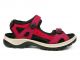 ECCO 2430.40.008